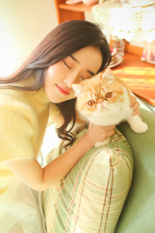 飞狐外传